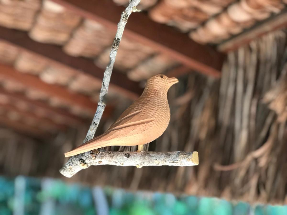 Bangalo Dos Sonhos Apartman Morro de São Paulo Kültér fotó